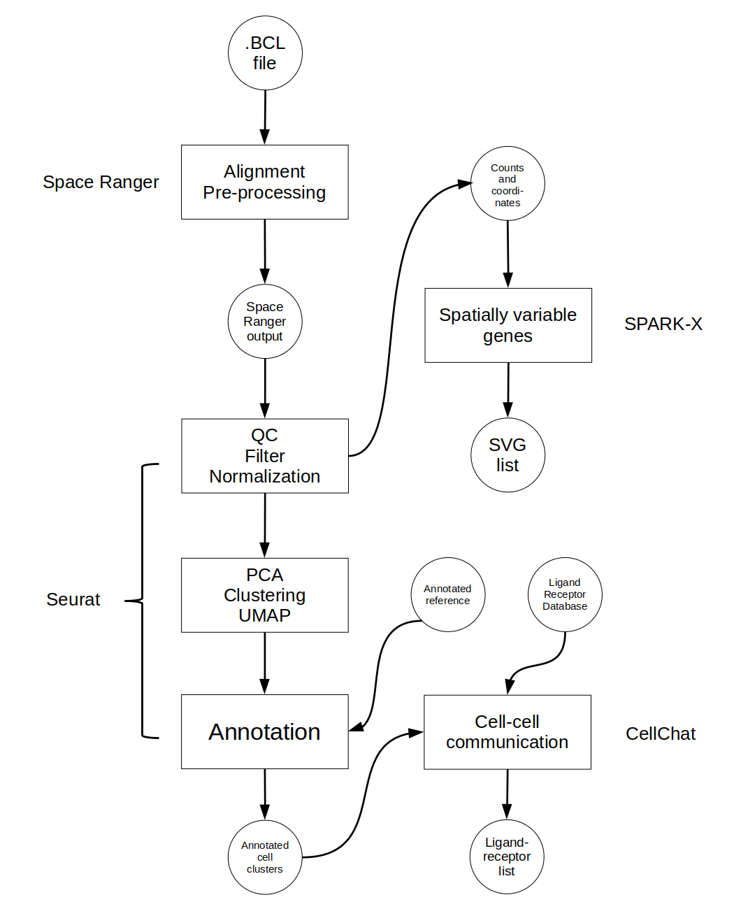Diagram of protocol workflow